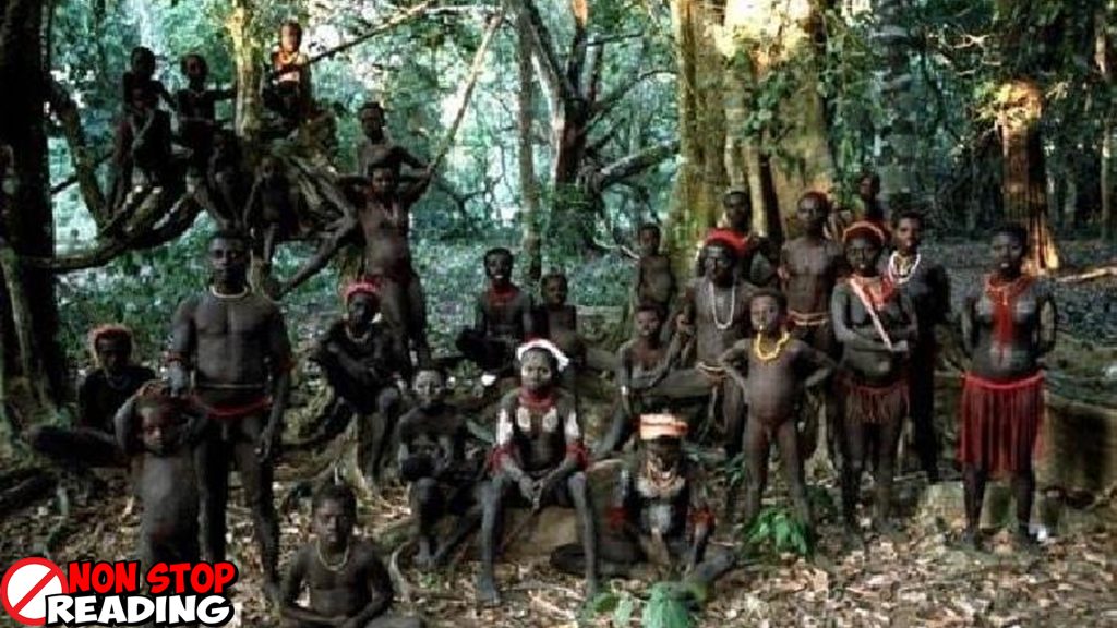 Pulau Sentinel Wilayah Sunyi yang Menolak Dunia Luar!