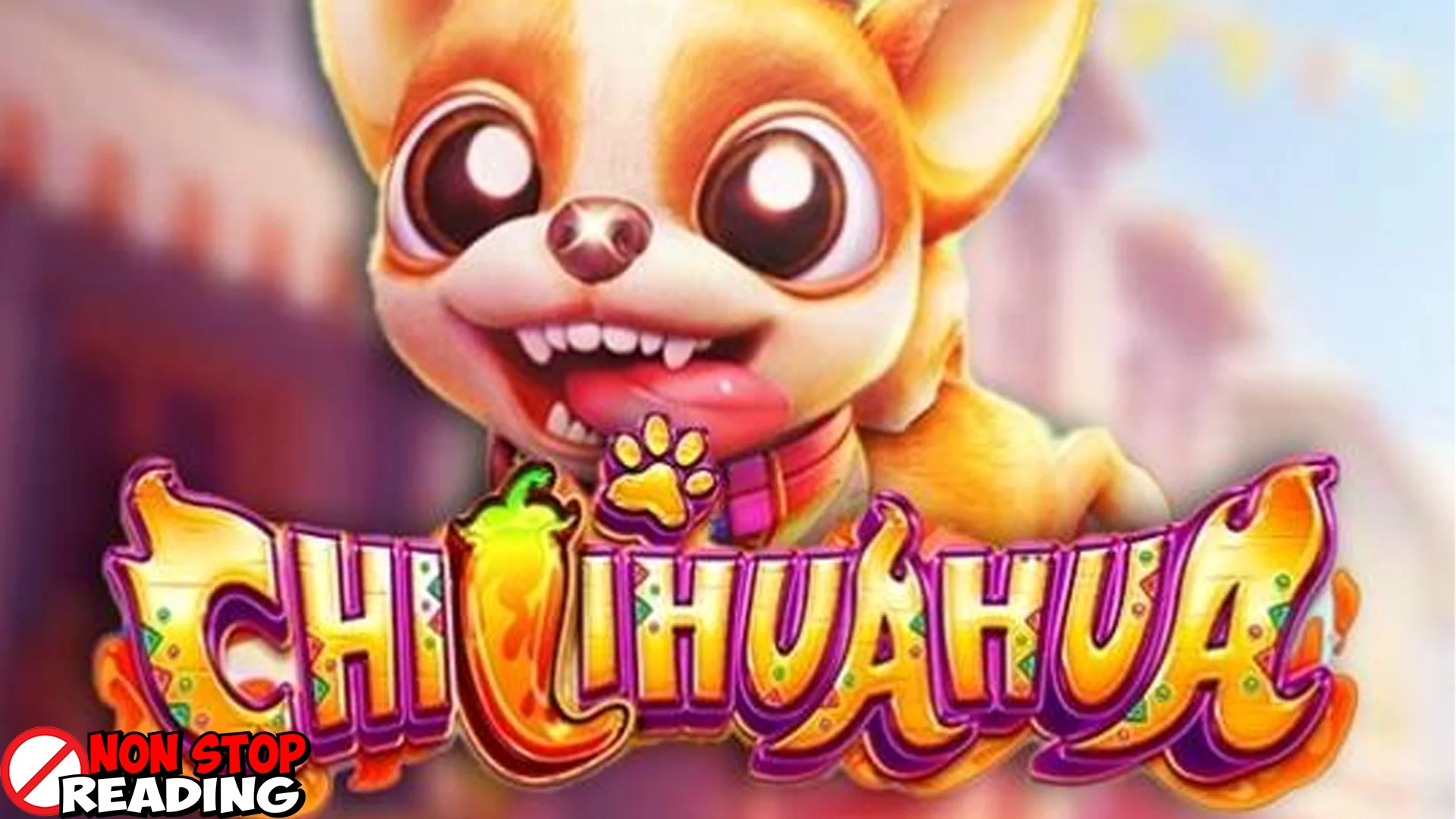 5 Momen Lucu Chihuahua Bikin Dunia Cnnslot Riuh