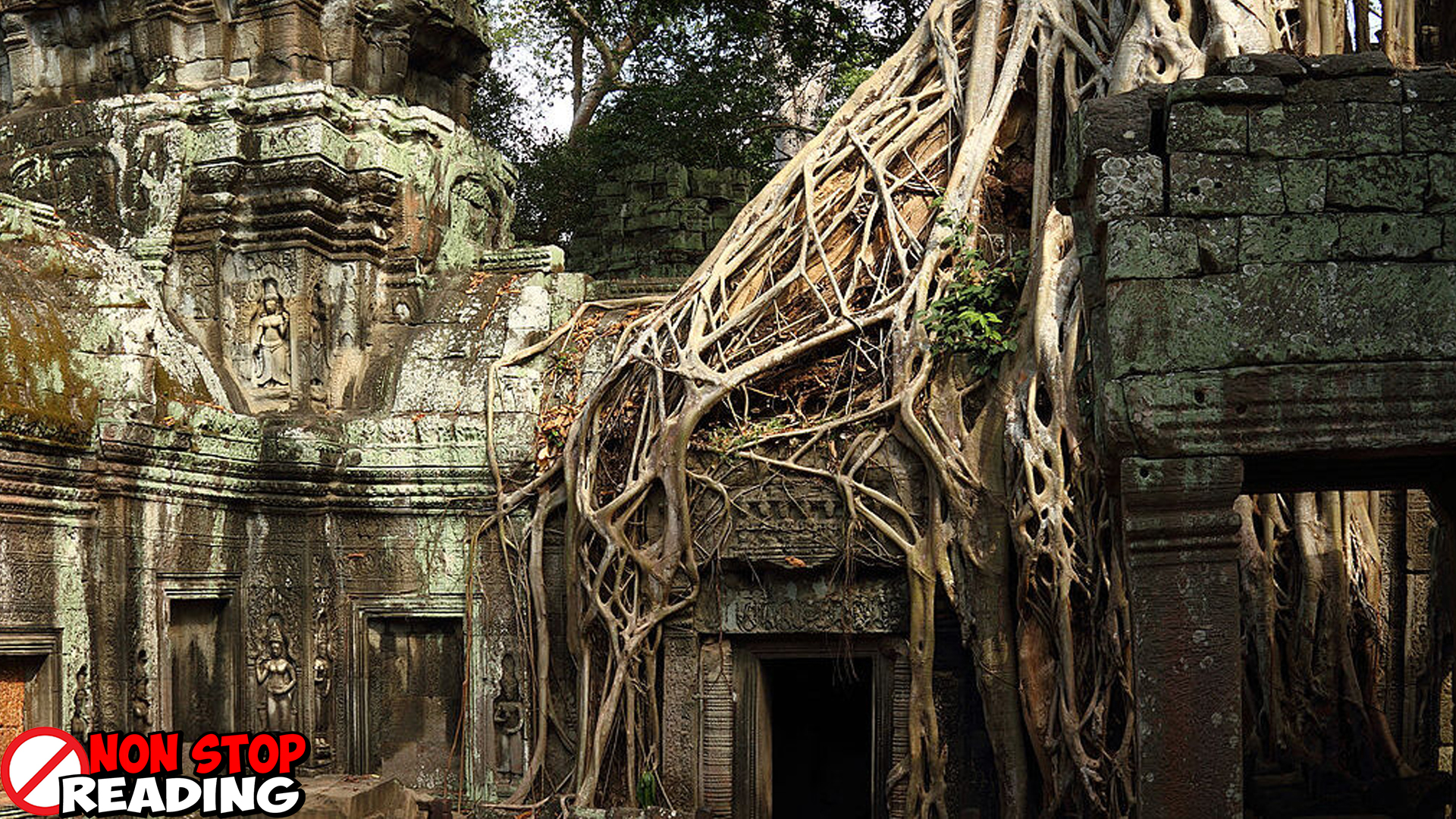 Ta Prohm Kuil Misteri yang Ditelan Pelukan 52 Alam