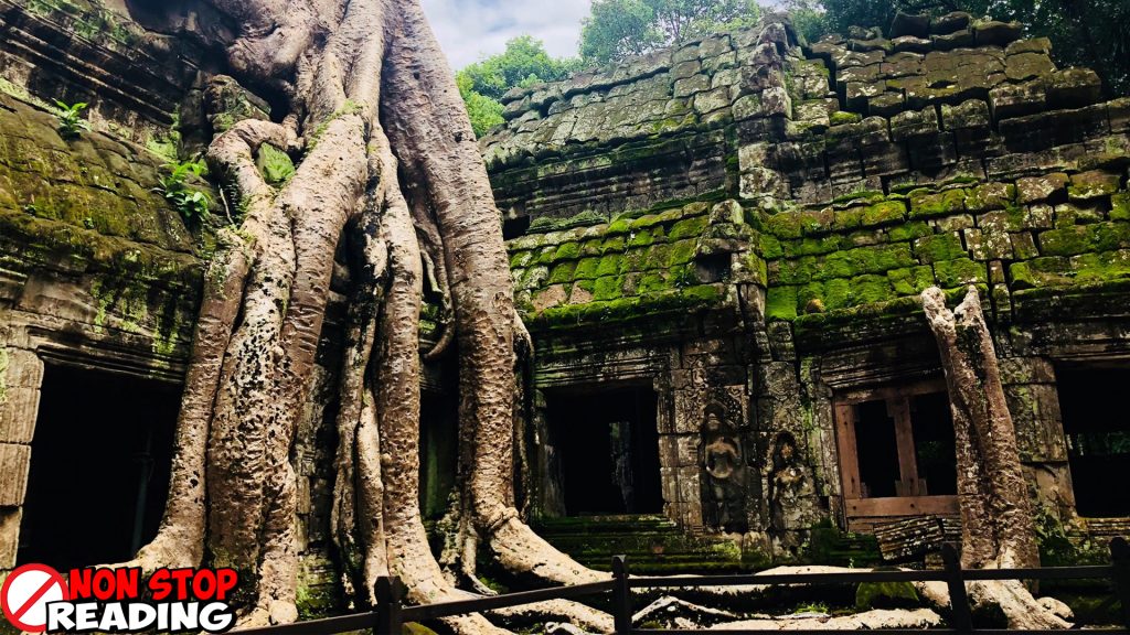 Ta Prohm Kuil Misteri yang Ditelan Pelukan 52 Alam