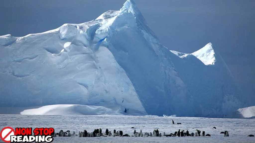 Kutub Utara Perjalanan Tajam Menuju 90° LU