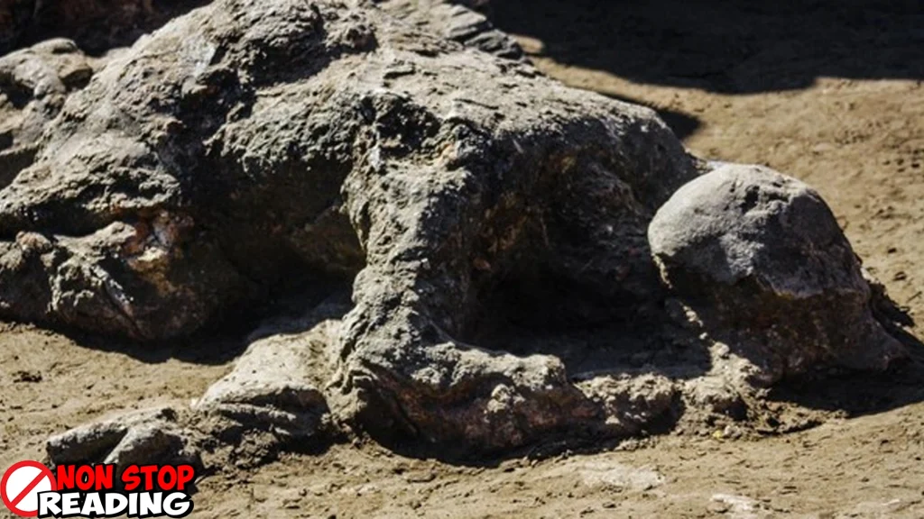 Malin Kundang: 1 Kutukan Ibu, Legenda Batu Abadi di Pantai