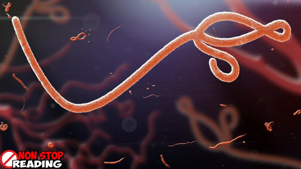 Sejarah Virus Ebola 55 Misteri yang Belum Terpecahkan