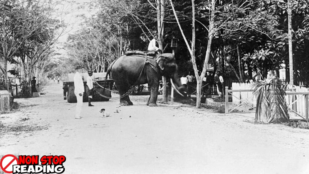 Pangkalan Brandan: Kisah di Balik 7 Nama yang Unik