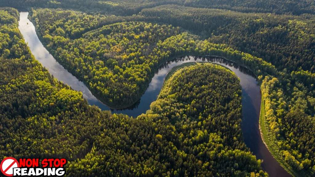 Sungai Amazon: Dari 74 Penemuan Hingga Kini!