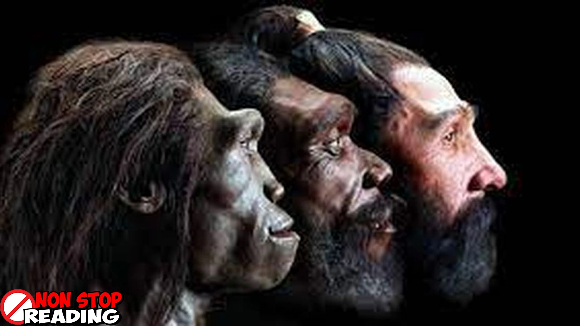 Manusia Purba: Jejak Kuno Kehidupan di Bumi 1740